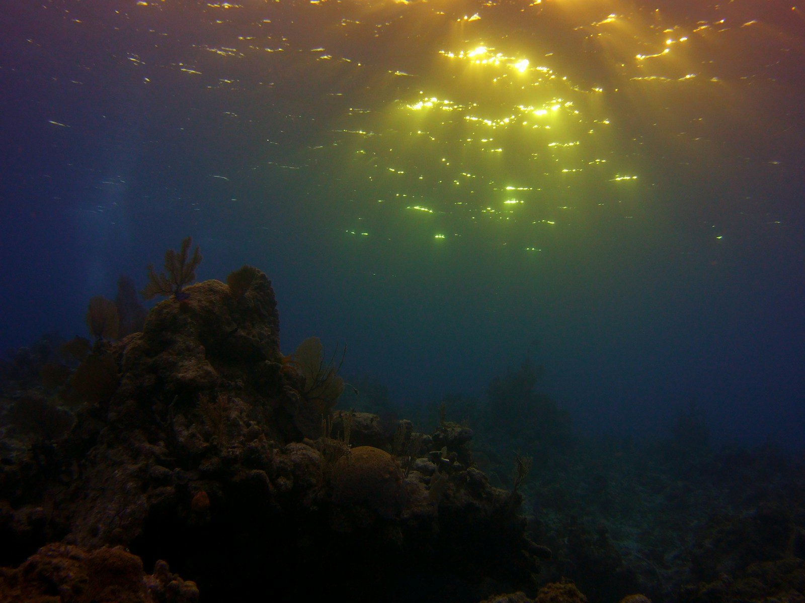 une vue de l'océan et des étoiles dans le ciel